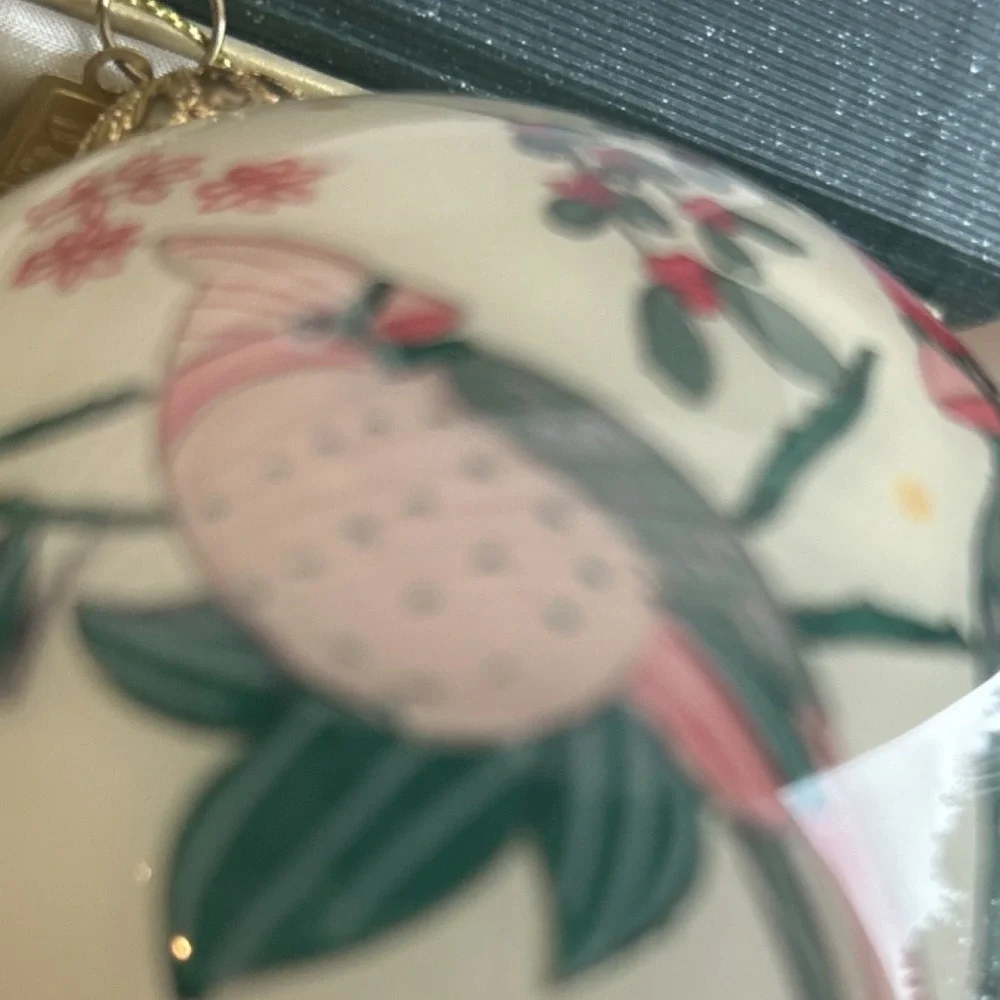 Pier 1 Imports Li Bien Hand Painted Bird Glass Ornament 2019 with Box